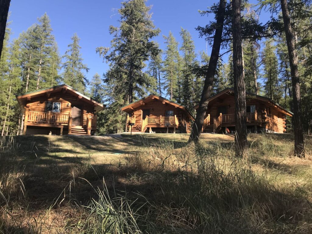 The Cabins